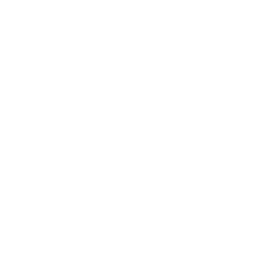 Logo for Shionogi & Co Ltd