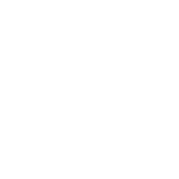 Logo for Orpea SA