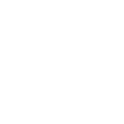 Logo for Natura &Co Holding S.A