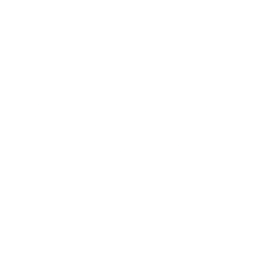 Logo for CRISIL Limited