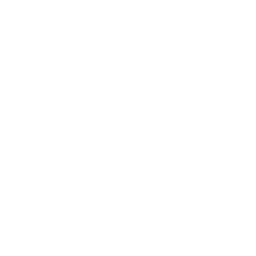 Logo for NGK Insulators Ltd