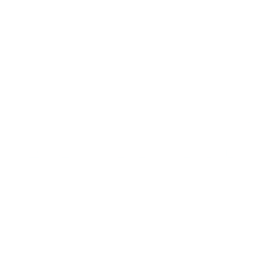 Logo for Avidly