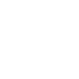 Logo for Redwood Trust Inc