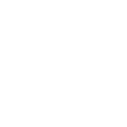 Logo for AAK