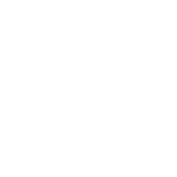 Logo for Alfen N.V.
