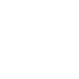 Logo for American International Group Inc