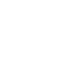 Logo for Amplifon S.p.A.
