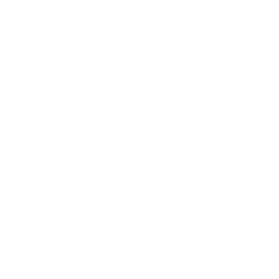 Logo for Aurora Innovation Inc