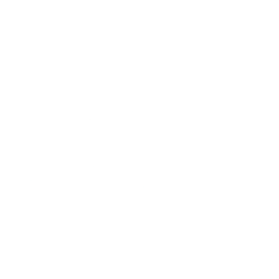 Logo for Boot Barn Holdings Inc