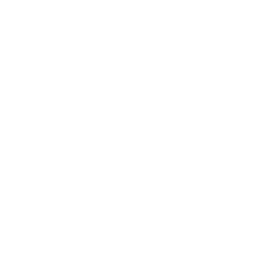 Logo for Citrix Systems Inc