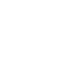 Logo for CoStar Group Inc