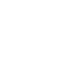 Logo for Diodes Incorporated