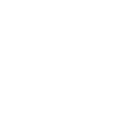 Logo for Evolution