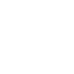 Logo for IDEX Corporation