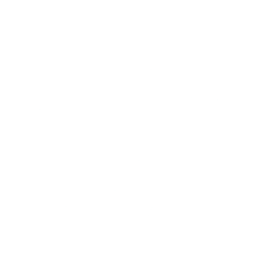 Logo for LGI Homes Inc