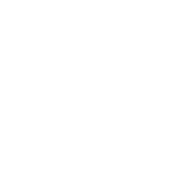 Logo for Minesto