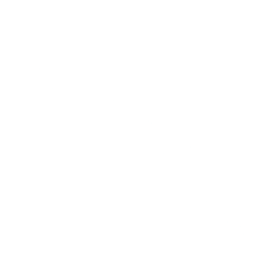 Logo for Qantas Airways Limited