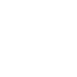 Logo for Qorvo Inc