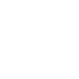 Logo for Sampo