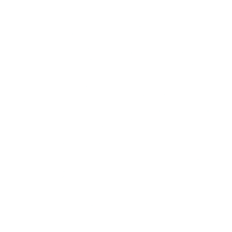 Logo for Science in Sport plc