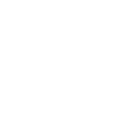 Logo for Smith & Wesson Brands Inc