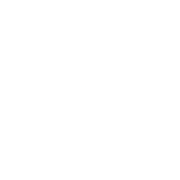 Logo for Stryker Corporation