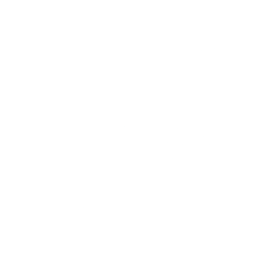 Logo for TMX Group Limited