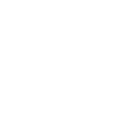 Logo for The Valens Company Inc