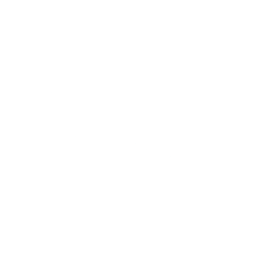 Logo for Volvo Car