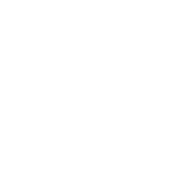 Logo for Stellus Capital Investment Corporation