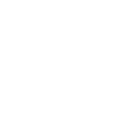 Logo for NETGEAR Inc