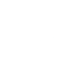 Logo for home24 SE