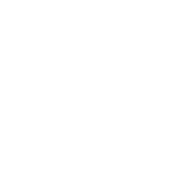 Logo for AngioDynamics Inc