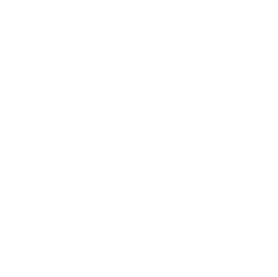 Logo for RIV Capital Inc
