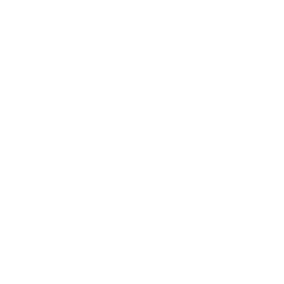 Logo for 1Stdibs.Com Inc