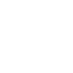 Logo for Curaleaf Holdings Inc
