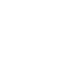 Logo for Rottneros