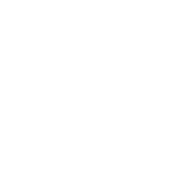 Logo for Vuzix Corporation