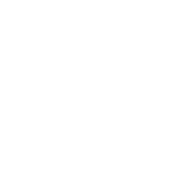 Logo for XPEL Inc