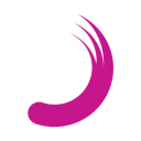 Logo for Planisware SAS