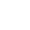 Logo for Immsi