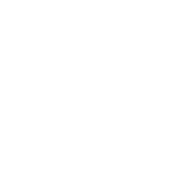 Logo for Immsi S.p.A.