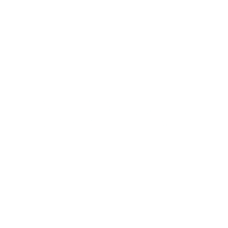 Logo for Embotelladora Andina S.A.