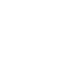 Logo for Forza X1 Inc