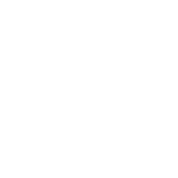 Logo for SEB SA