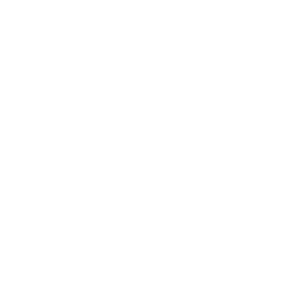 Logo for CSR Limited