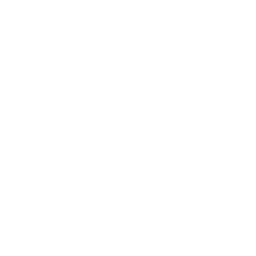 Logo for Roche Holding AG