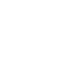 Logo for Verve