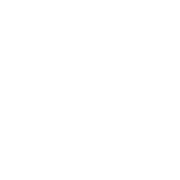 Logo for Abacus Storage King