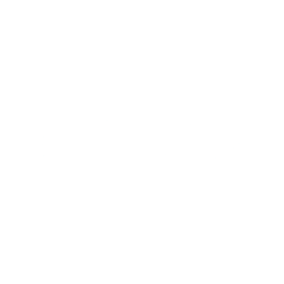 Logo for Strax